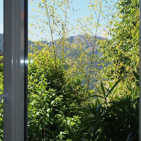 Maison De Vacances - Casa Mezanaccia Avec Terrasse Fleurie Meuble Tourisme 3 Etoiles Santa-Lucia-di-Tallano Buitenkant foto