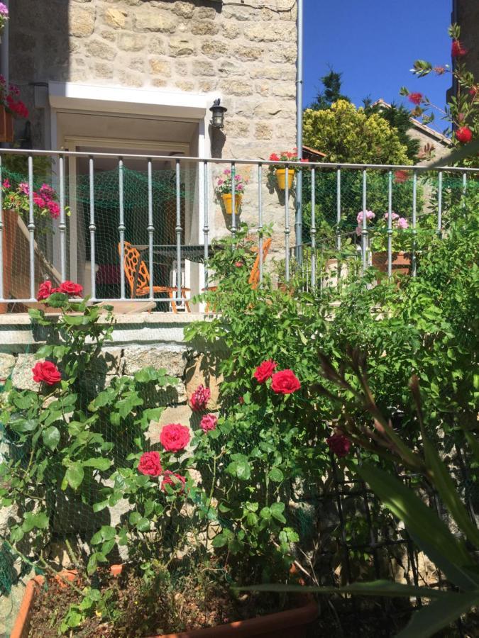 Maison De Vacances - Casa Mezanaccia Avec Terrasse Fleurie Meuble Tourisme 3 Etoiles Santa-Lucia-di-Tallano Buitenkant foto