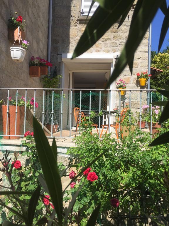 Maison De Vacances - Casa Mezanaccia Avec Terrasse Fleurie Meuble Tourisme 3 Etoiles Santa-Lucia-di-Tallano Buitenkant foto